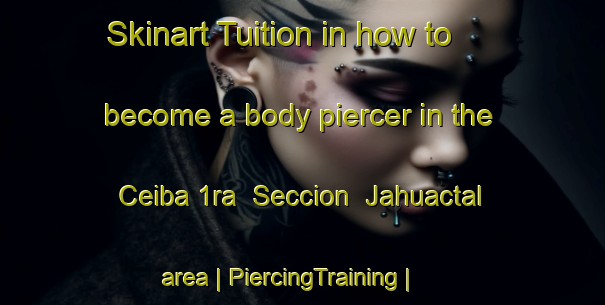 Skinart Tuition in how to become a body piercer in the Ceiba 1ra  Seccion  Jahuactal area | PiercingTraining | PiercingClasses | SkinartTraining-Mexico